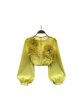 Chemise transparente couleur vert