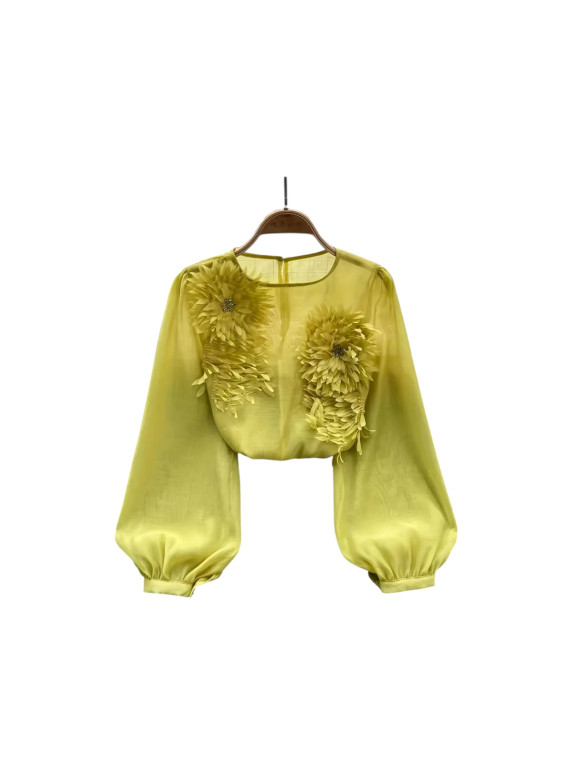 Chemise transparente couleur vert